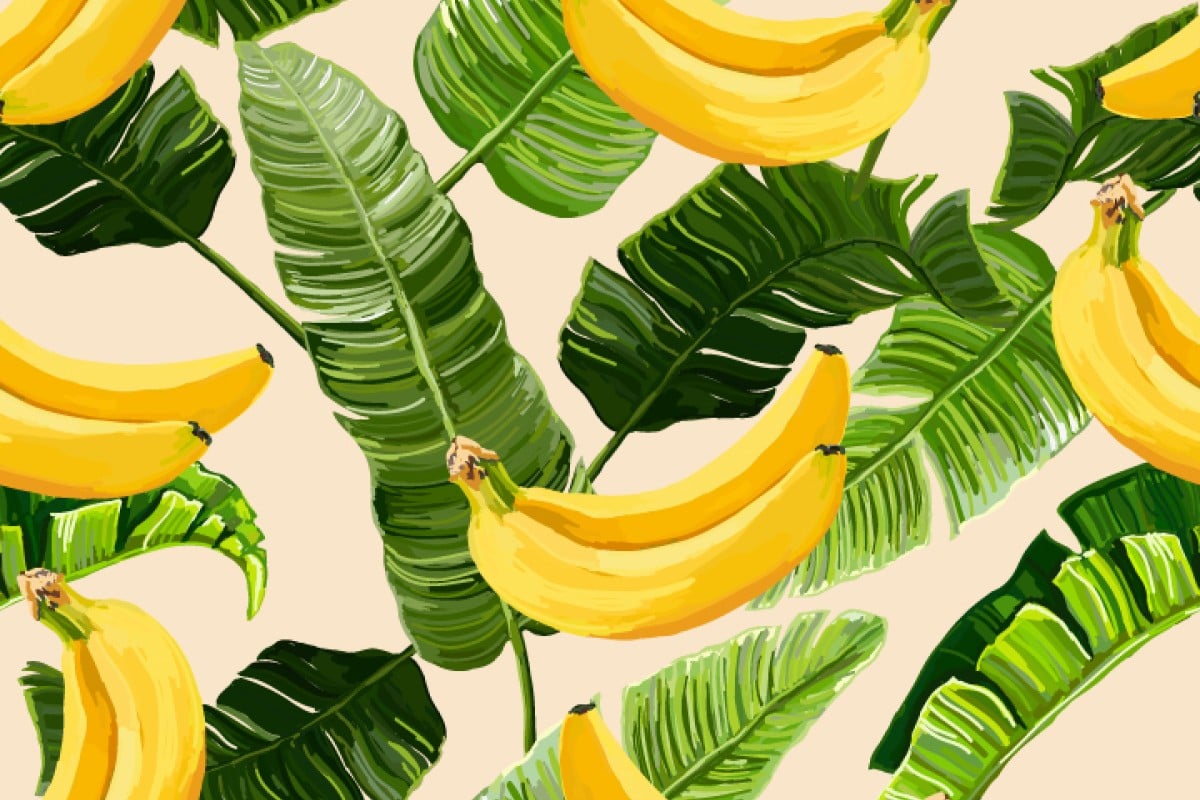The banana you're eating is an asexual clone - YP | South China Morning Post