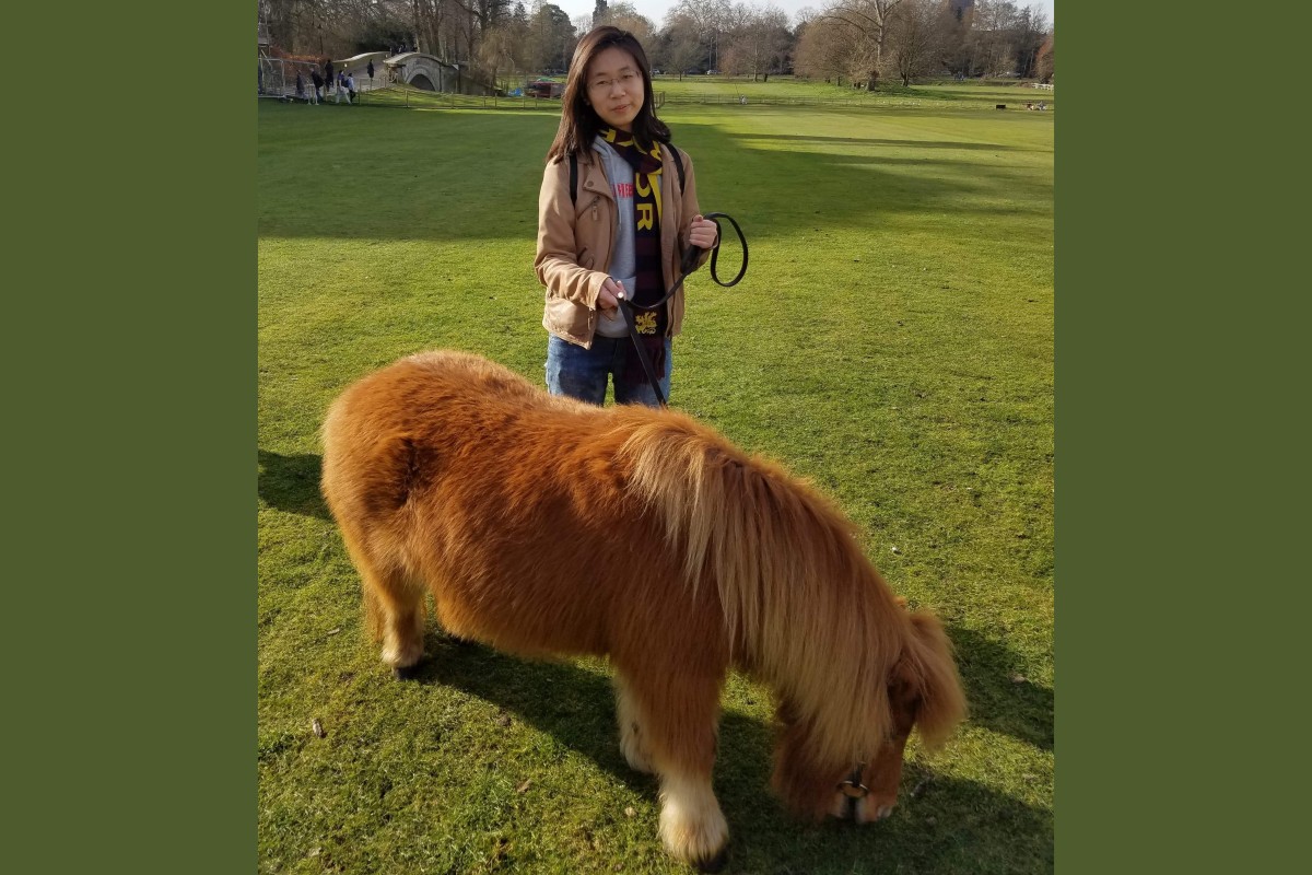 A therapy pony is a great alternative if you are not a canine fan.