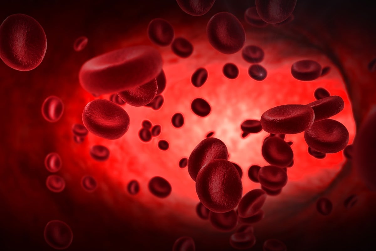 Everything you ve ever wanted to know about blood Types components and functions Young Post