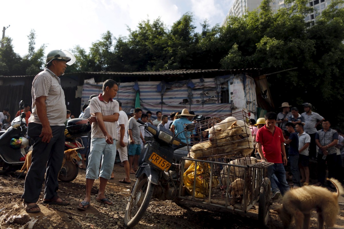 china-dogmeatpek713.jpg