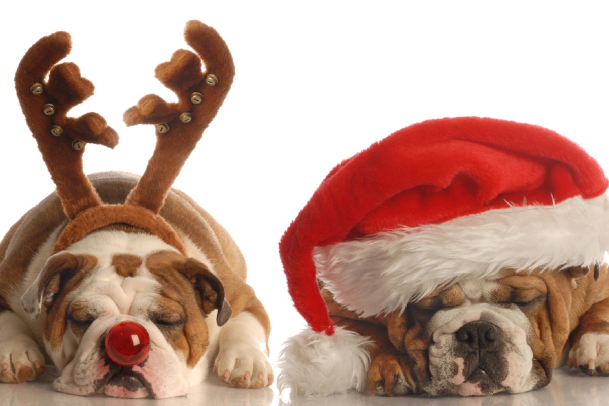 Been snoozing on your Christmas planning this holiday season? Use our speedy hacks to catch up and have the best Christmas ever!