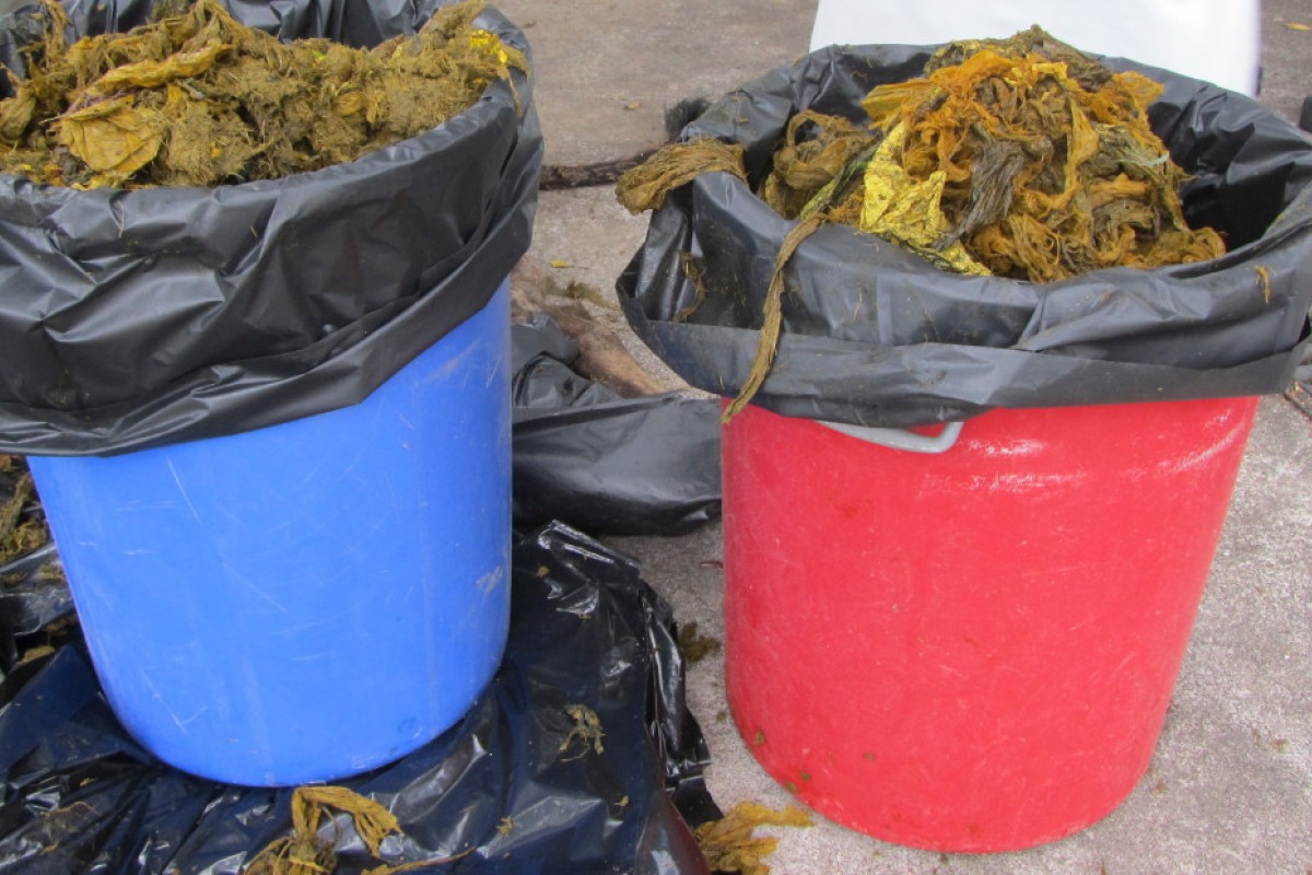 The Agriculture, Fisheries and Conservation Department said Billy’s stomach had been blocked with enough plastic bags to fill two rubbish bins.