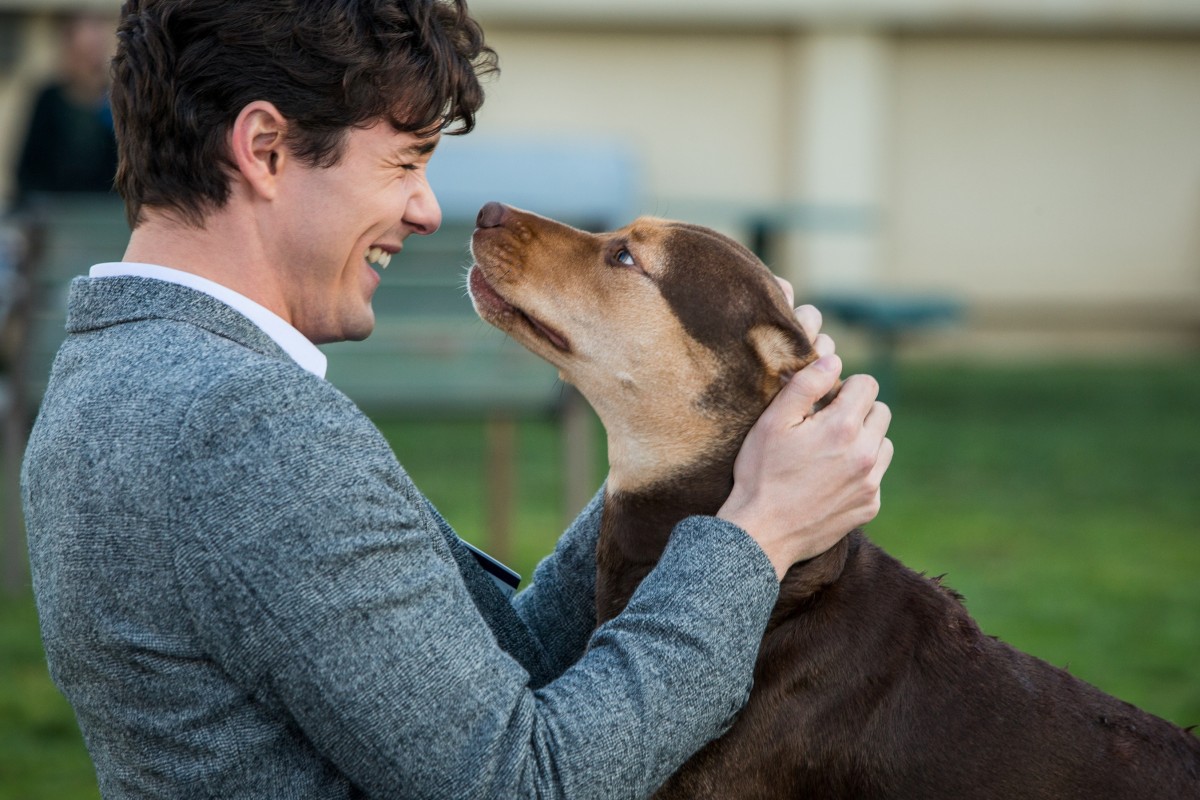 Jonah Hauer-King plays Lucas, Bella's owner, in this family-friendly flick about a dog's unconditional love.