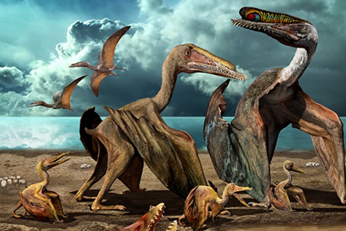 An artist’s impression of pterosaurs.