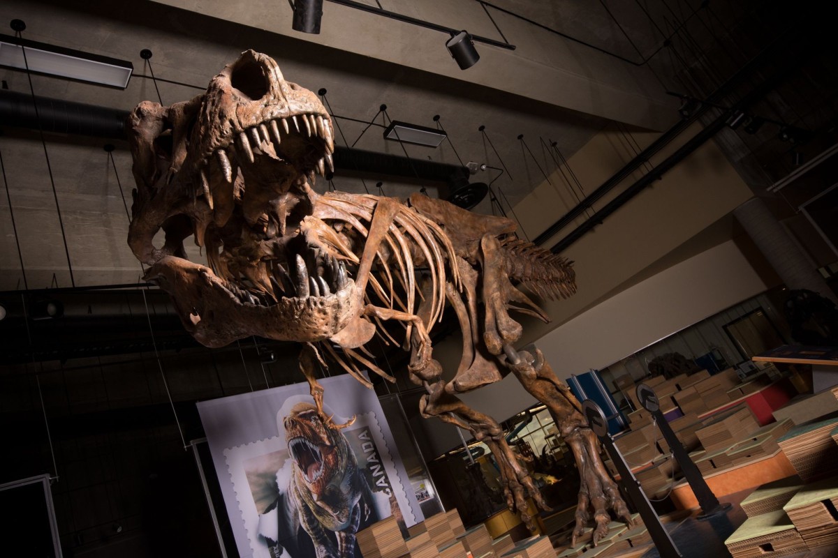 Would a T-Rex or other dinosaurs make good pets?