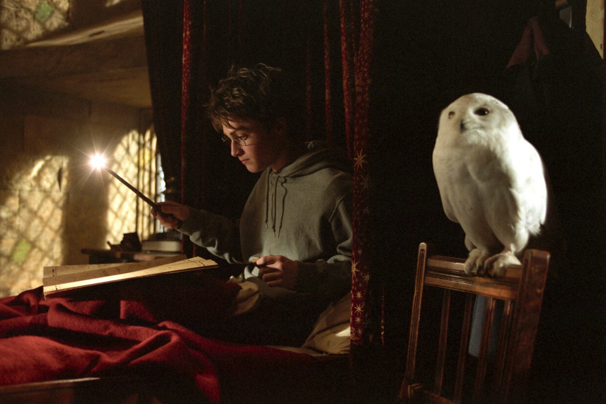 Harry Potter had an invisibility cloak, but is a real one actually possible.