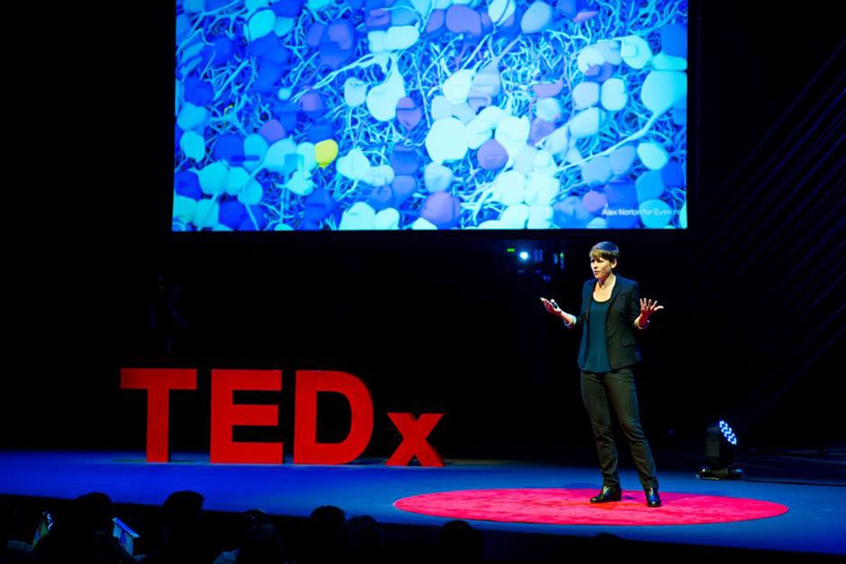 Neuroscience designer Amy Sterling discusses how interactive gaming platforms can change the nature of scientific discovery.