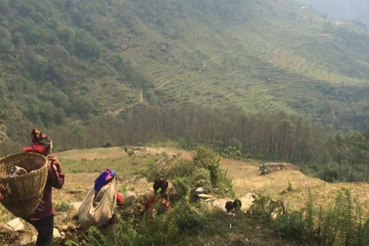 Lensational has trained more than 400 women and girls in 15 countries across the globe.