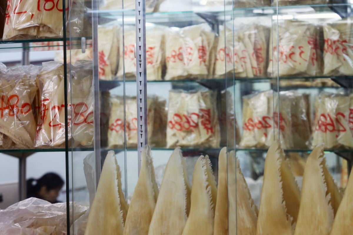 Shark's fin on display at a store in the Western District of Hong Kong.