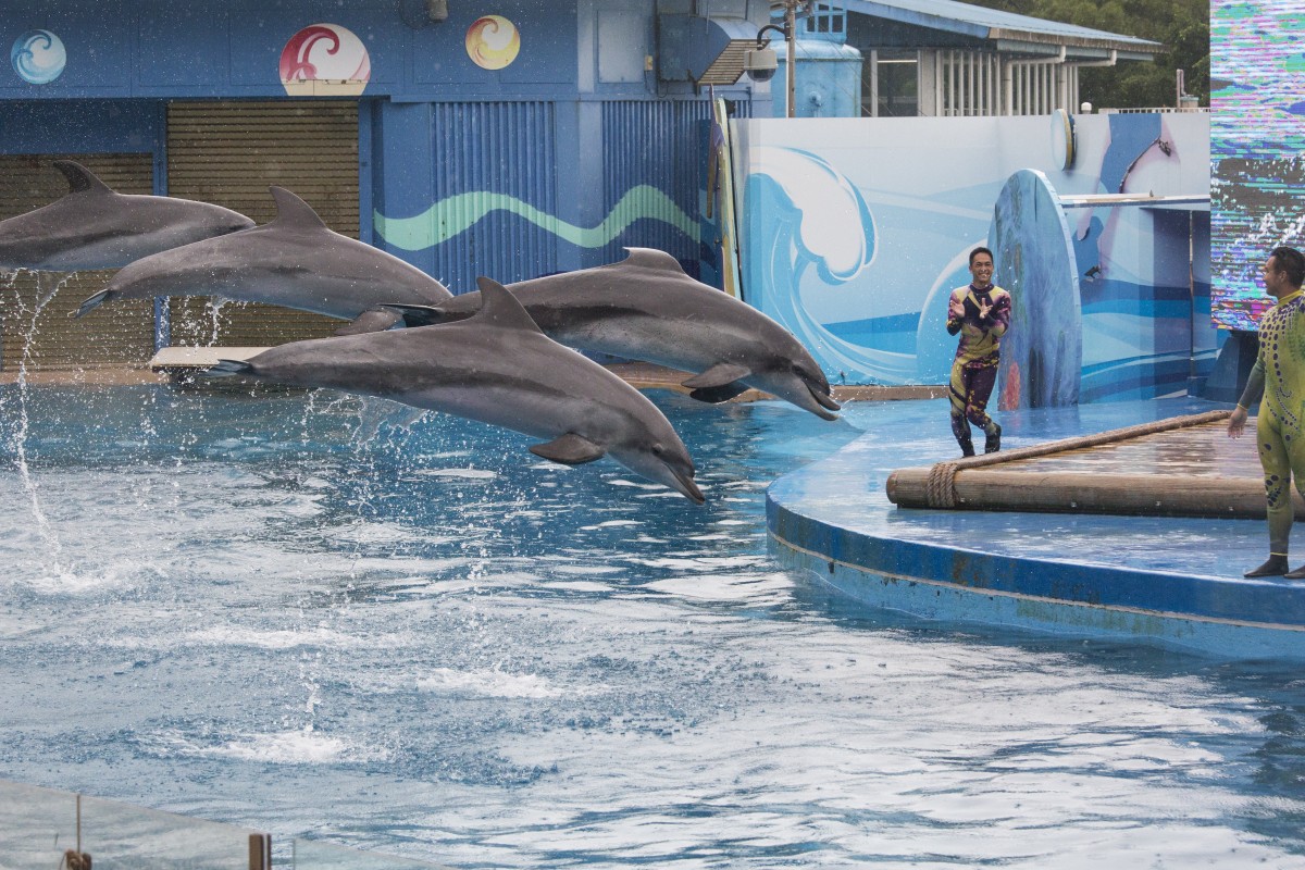The park will stop their animal shows, but animal rights activists say it is not enough.