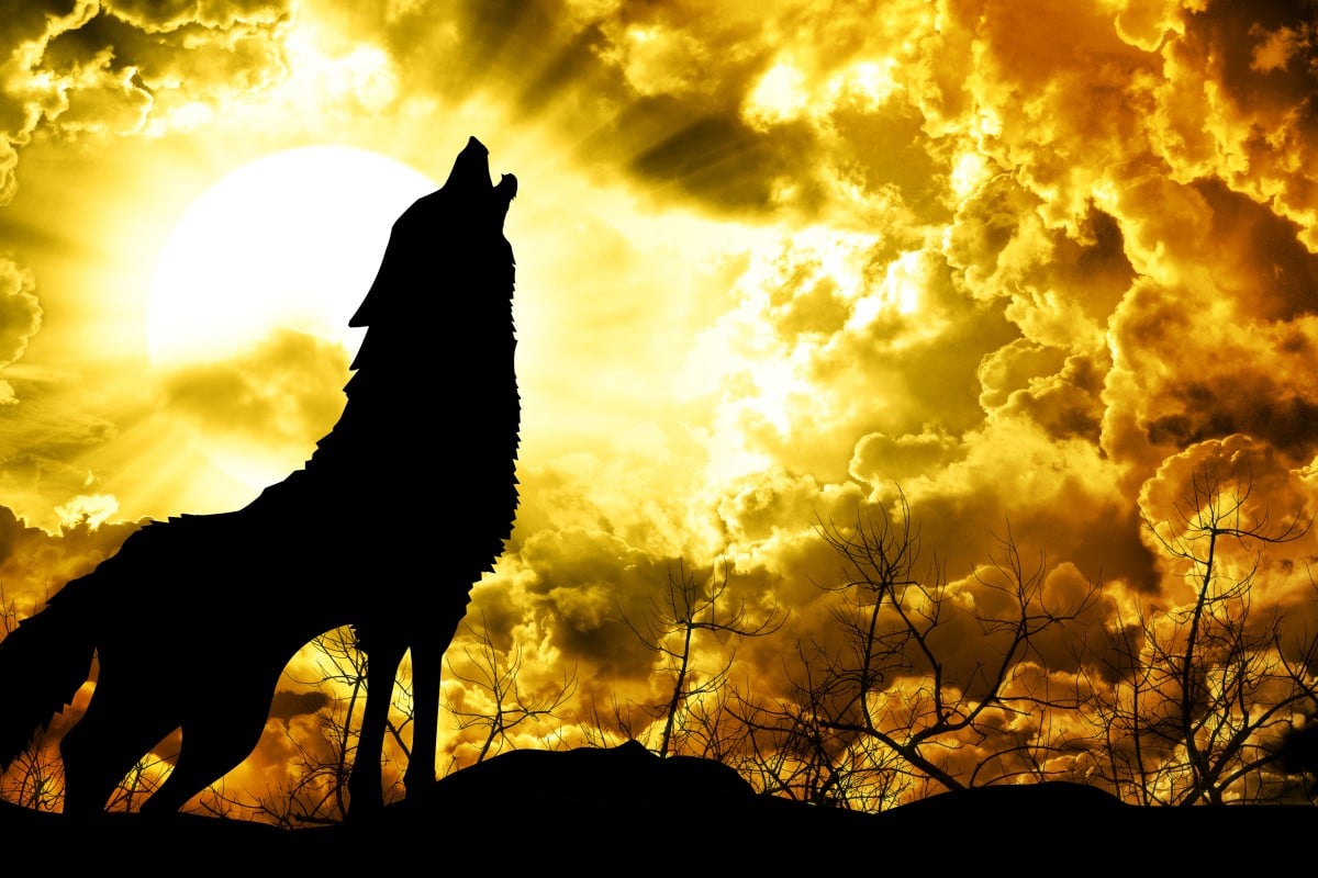 A "lone wolf" explains away our discomfort and draws attention away from debate about concrete changes such as gun control.