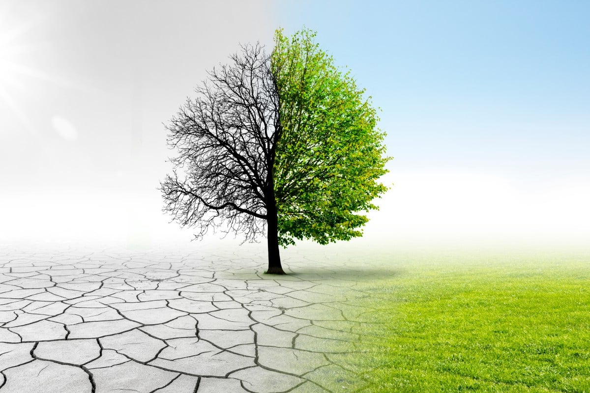 Does climate change have you feeling anxious?