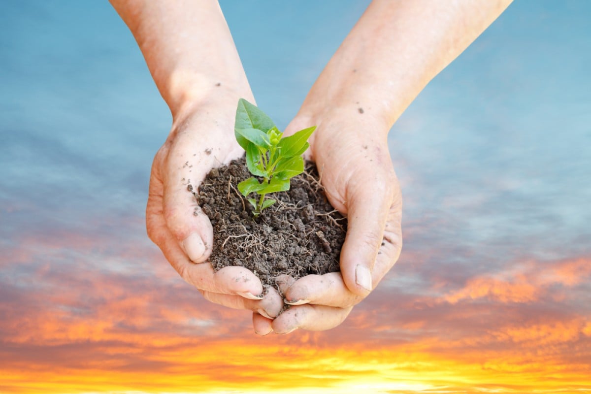In recognition of World Food Day, here are some charities you can work with to help the needy in Hong Kong.