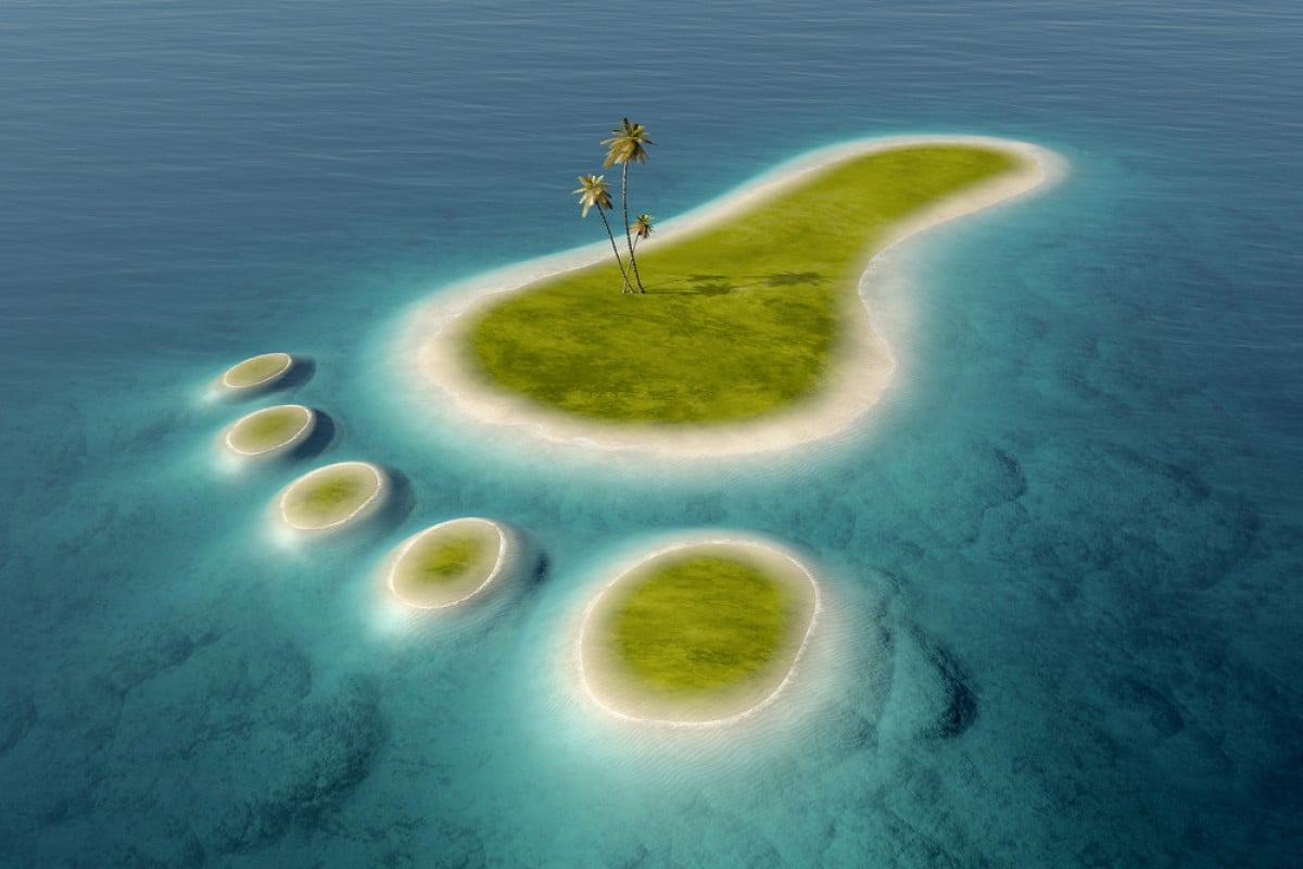 What can you do to help stop climate change?
