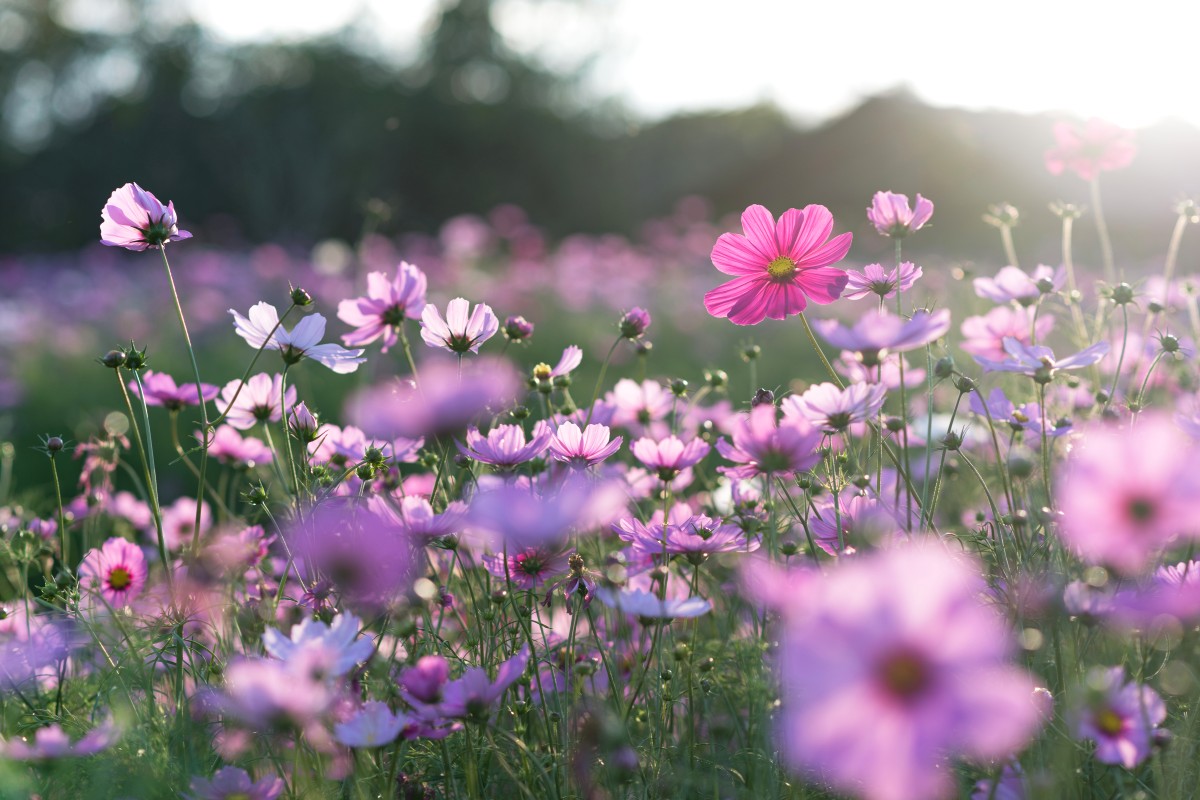 These words and phrases will put a 'spring' in your step!