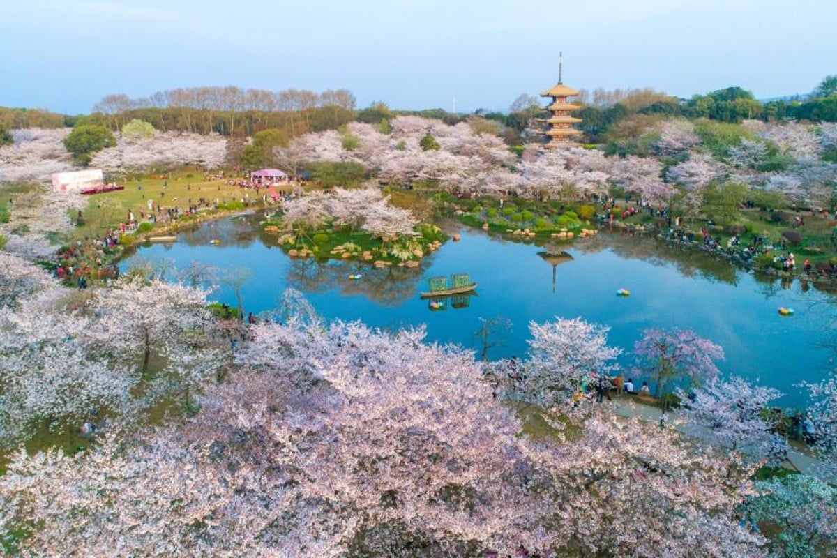 Wuhan may be a major urban city, but it beautiful scenic parks offer some calm away from the chaos.