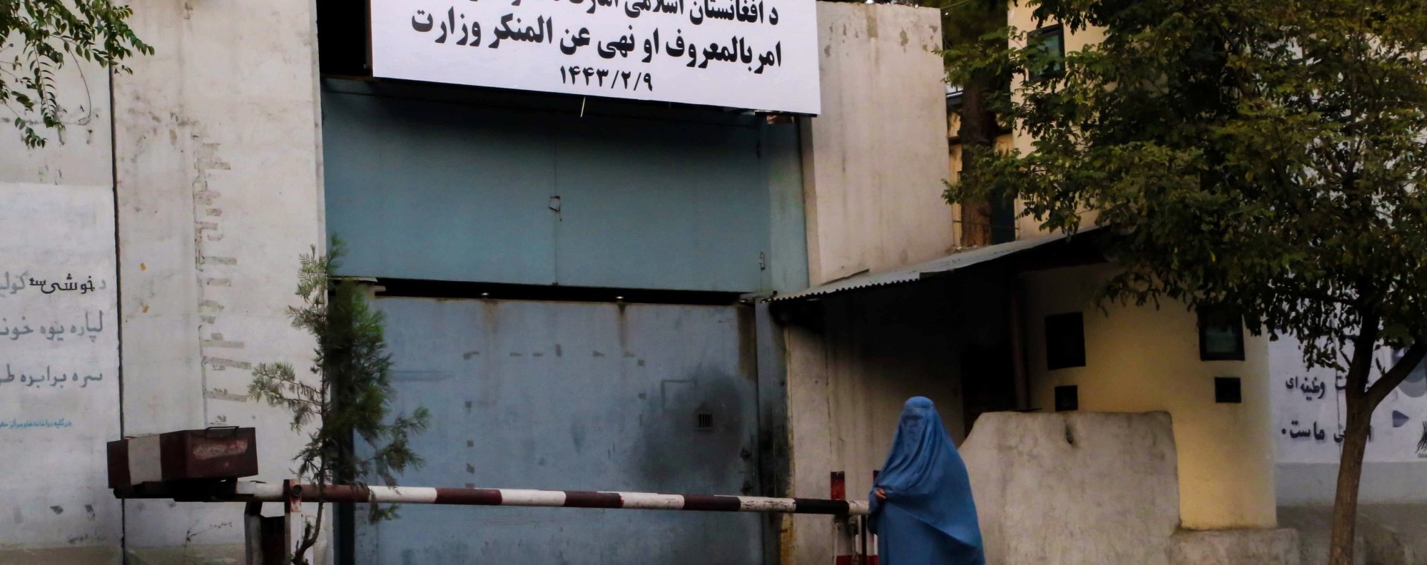 Afghan women wait for the Taliban to let them return to work, but many have  little hope | South China Morning Post