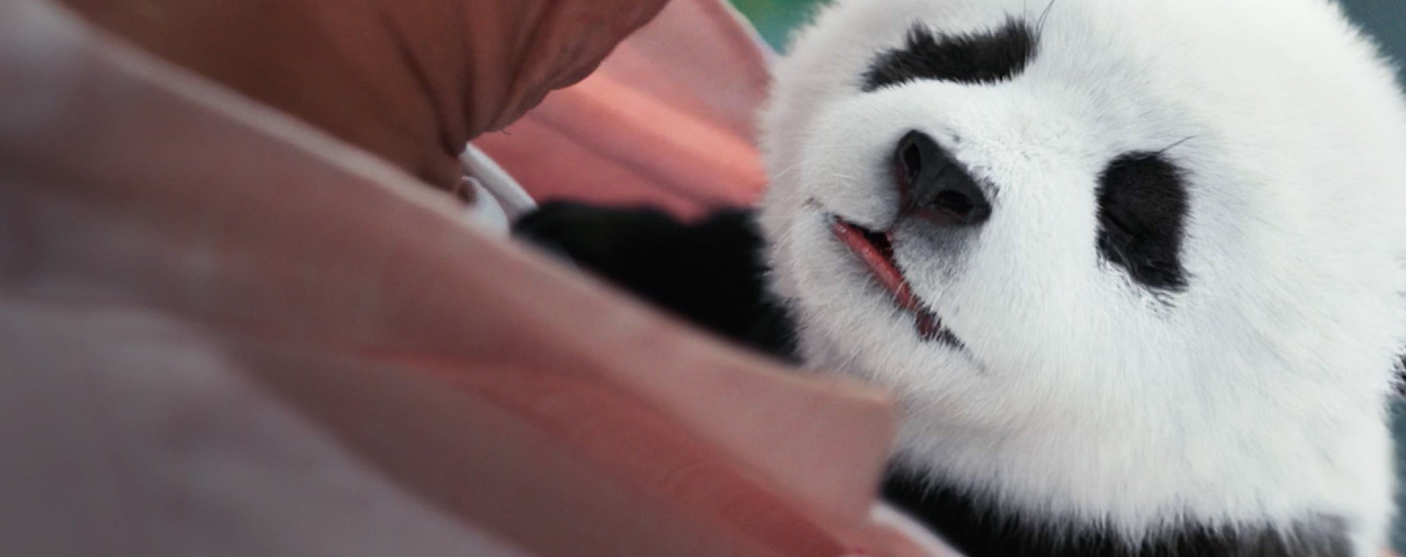 【ファッション通販】の商品をすべて Review CGI meets Chan Jackie review: movie Plan Panda | ブシロードその他