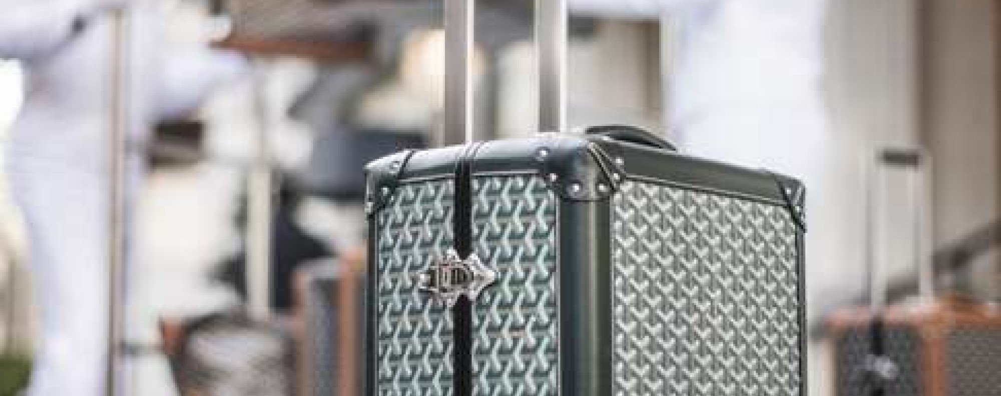 Goyard Bourget Trunk  Goyard trunk, Luxury designer handbags, Goyard