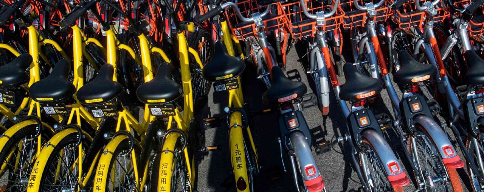 Mobike shop and ofo