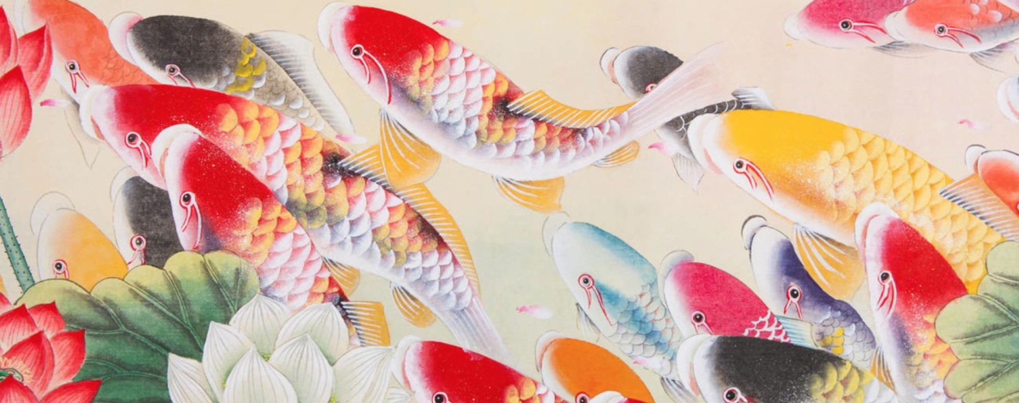 Asian deals pond fish