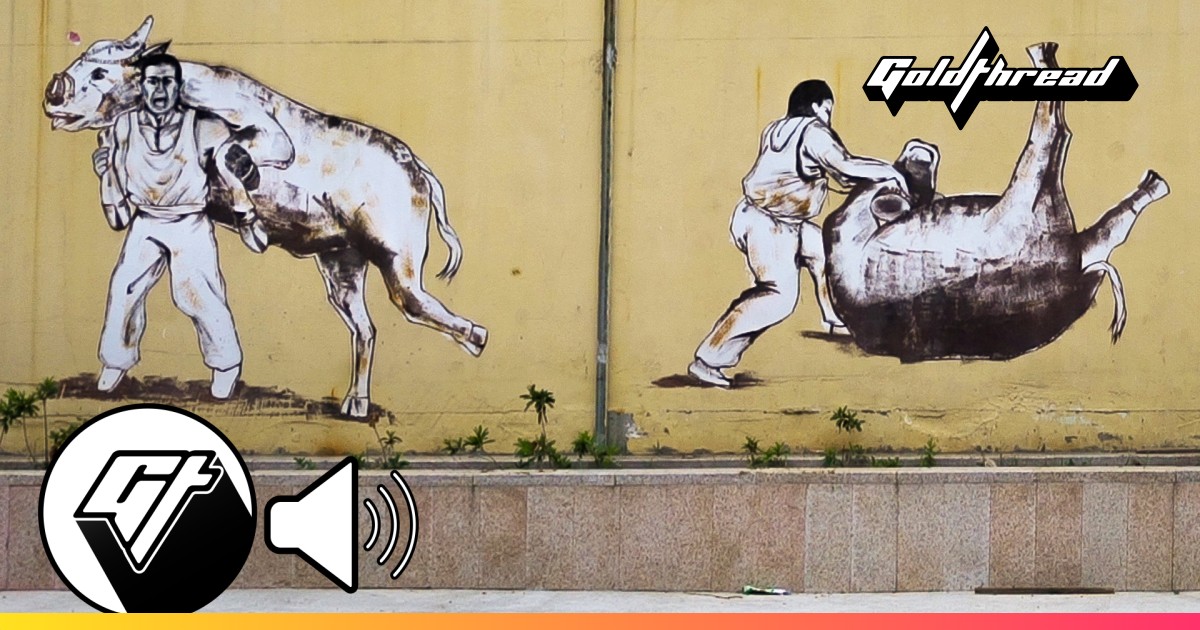 Years of Intense Training by Chinese Kung Fu Bullfighters