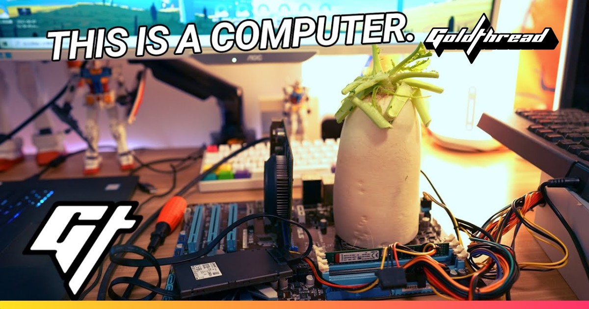 How to Build a Computer with a Radish and $50 | Goldthread