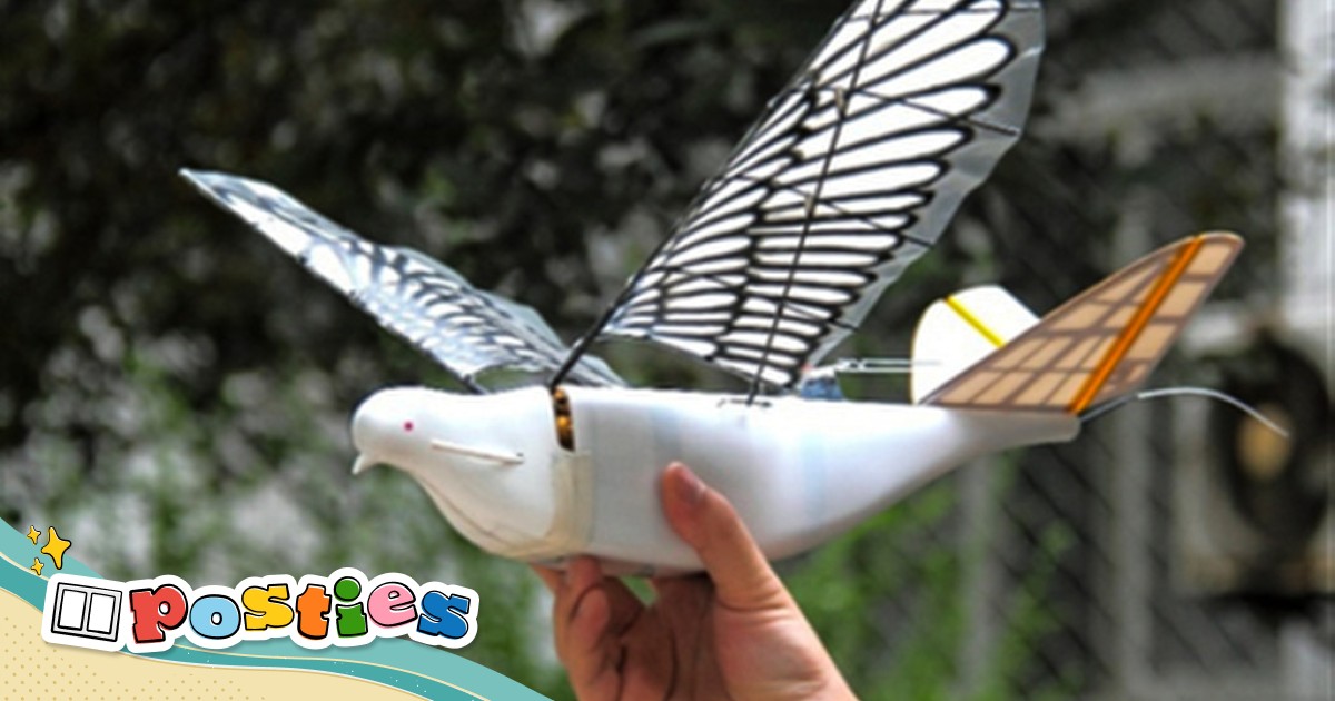 Government bird shop drones