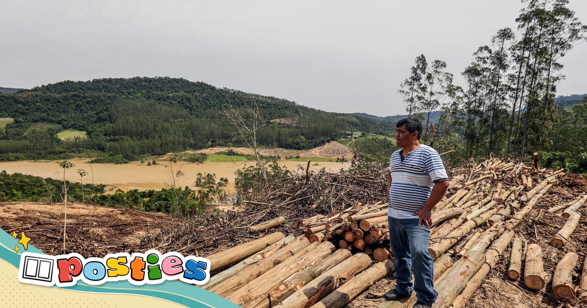 World is ‘failing’ at stopping deforestation, ngo warns