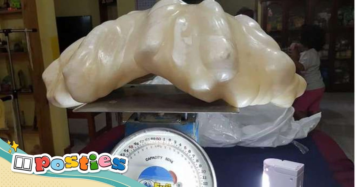 Largest pearl in hotsell the world