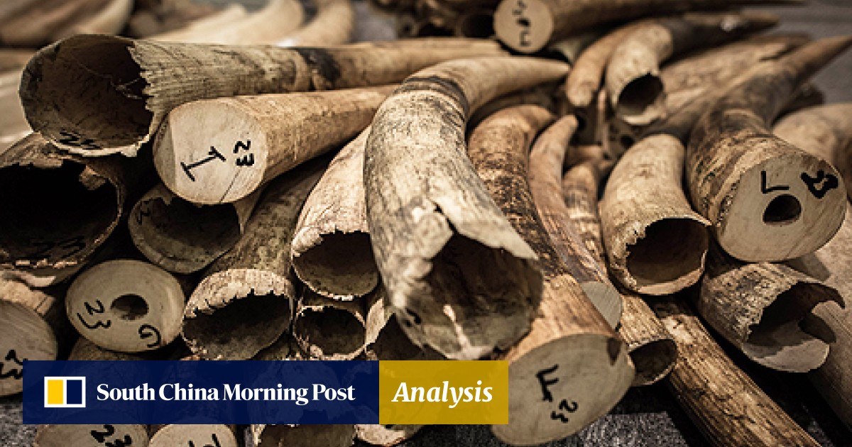 hong_kong-crime-ivory.jpg?itok