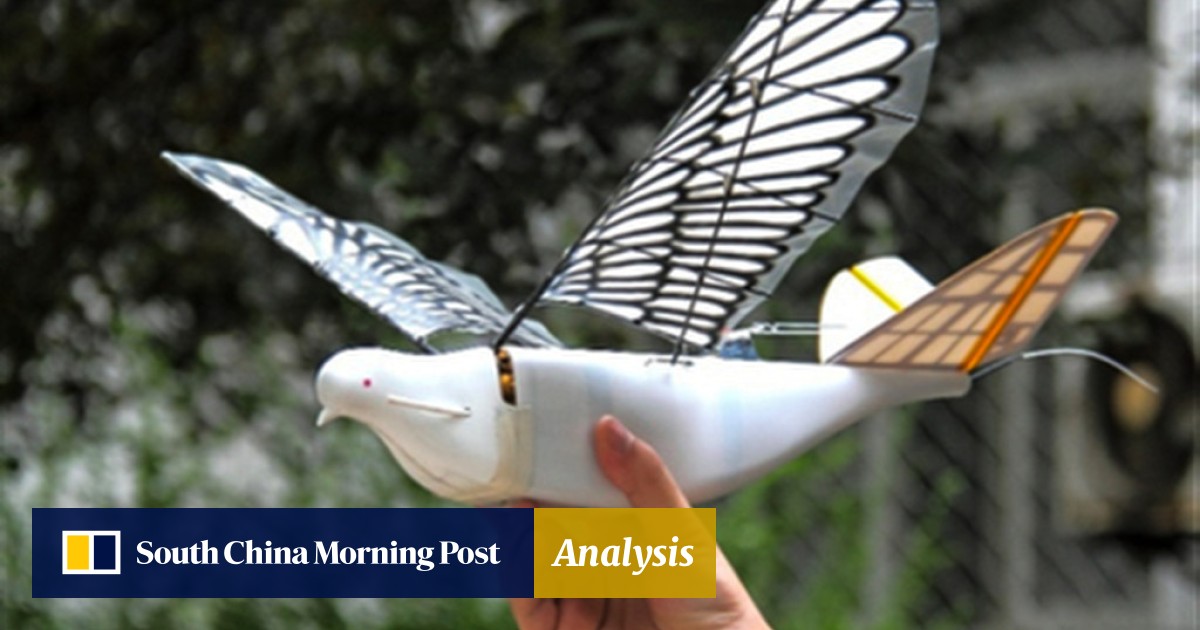 Fake bird drone discount