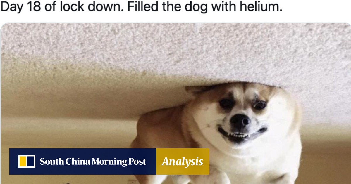 Funny Memes Online Are Helping People Cope With The Coronavirus Pandemic Study Suggests Especially If They Re About Covid 19 South China Morning Post
