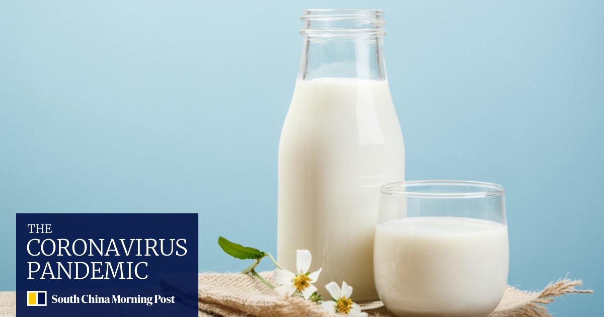 Which Milk Is Best For The Environment A Guide To The Impact Of Cow Almond And Soy Milk On The Planet And Your Health South China Morning Post Which Milk Is Best For The Environment A Guide To The Impact Of Cow Almond And Soy Milk On The Planet And Your Health South China Morning Post