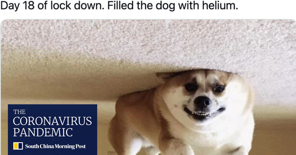 85f2cb5f-44f8-4f2f-a813-63e657e11acc_5065cac7.jpg?itok=kTZkN9EF&v=1635566576