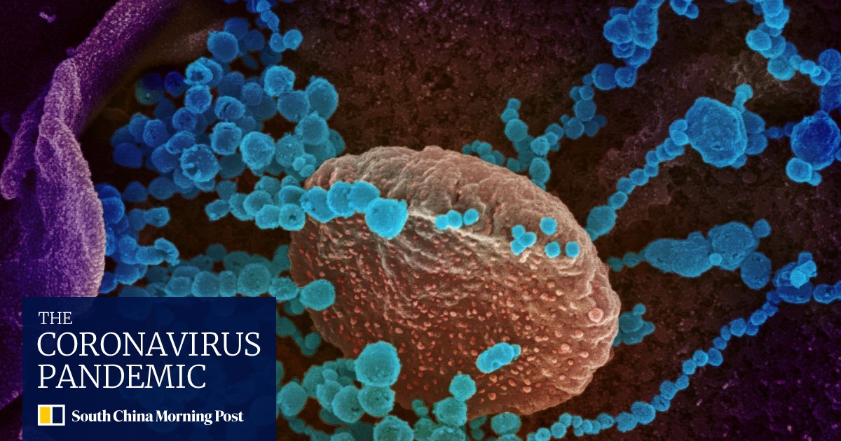 Omicron Coronavirus Variant Has More Than Double The Mutations Of Delta Italian Lab Image Shows South China Morning Post