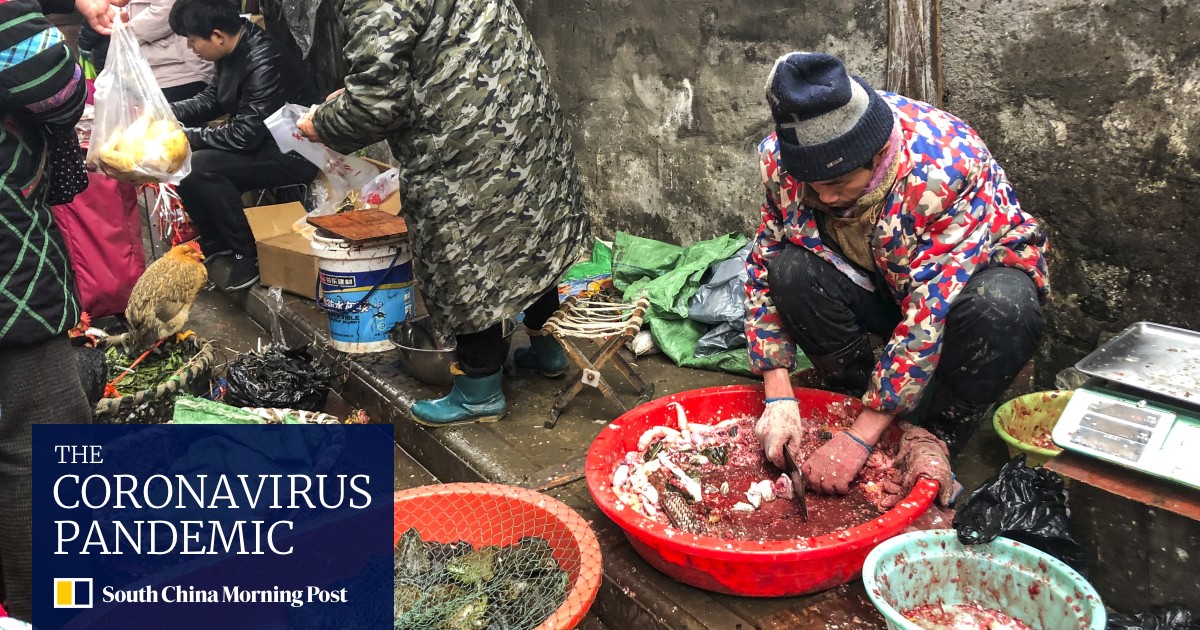 58c22617-f220-4ad7-9917-86e931065529_fe8