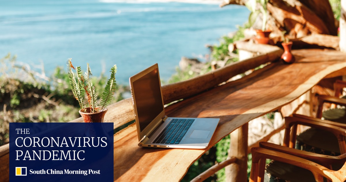 CHINA DIGITAL NOMAD VISA intelligence overview