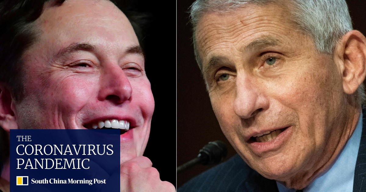 Musk suggests Fauci be prosecuted in viral tweet, drawing backlash