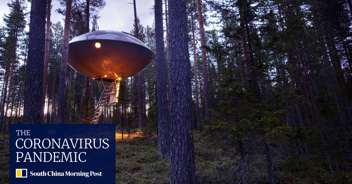 i ve got a freaking alien in my backyard ufo community still believes and science is listening south china morning post