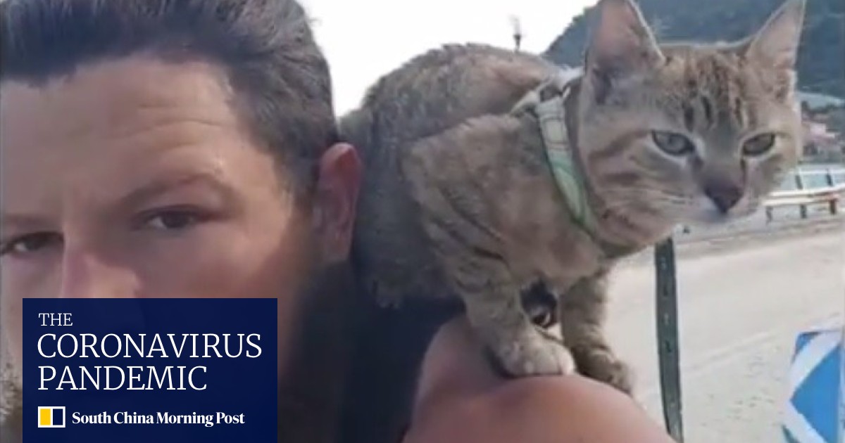She S Fearless Man Bikes Around The World With Stray Cat Named