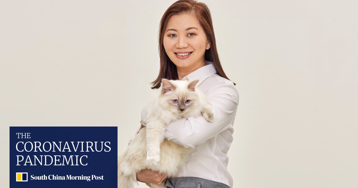 Real Pet Food Company Brings Global Brands To China South China
