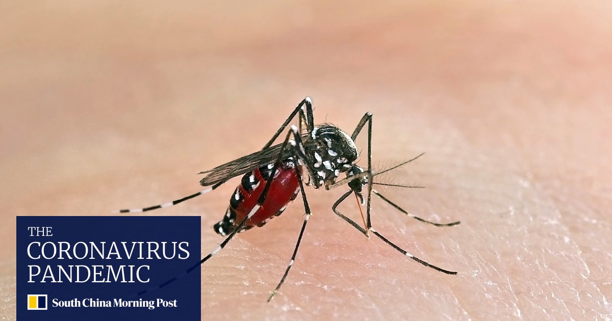 Ways Memes Welcome To The Red Pill Zone