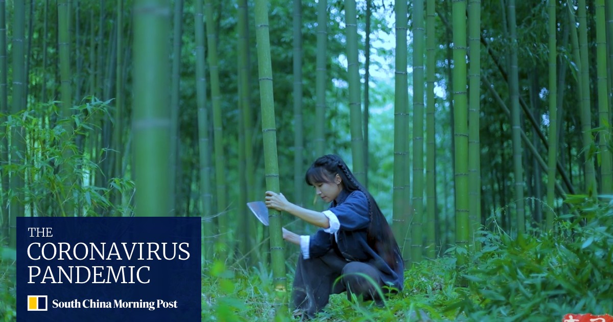 Behind The Scenes With Li Ziqi The Mysterious Chinese Internet