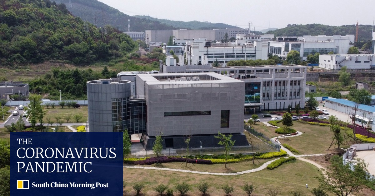 The Coronavirus The Chinese Lab And The Attempts To Connect The Two South China Morning Post