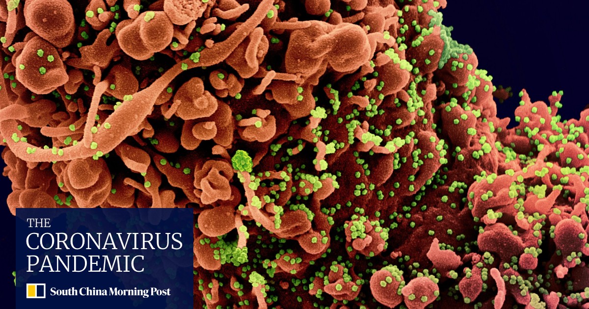 Research finds coronavirus in stool samples 22 days after onset of