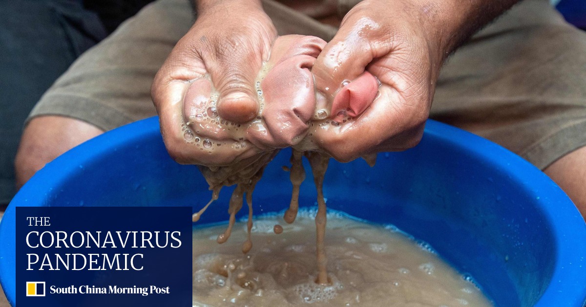 Kava, natural alternative to Xanax, finds new markets as wellness