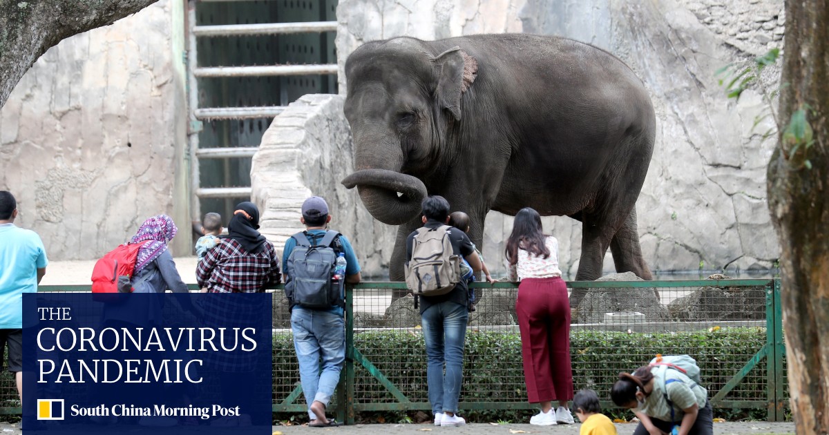 Coronavirus Singapore running low on ICU beds; Indonesia braces for