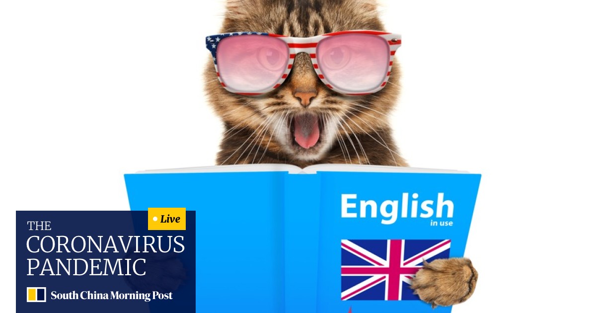 Can Cats And Dogs Talk An Animal Communicator Speaks To Our Cat