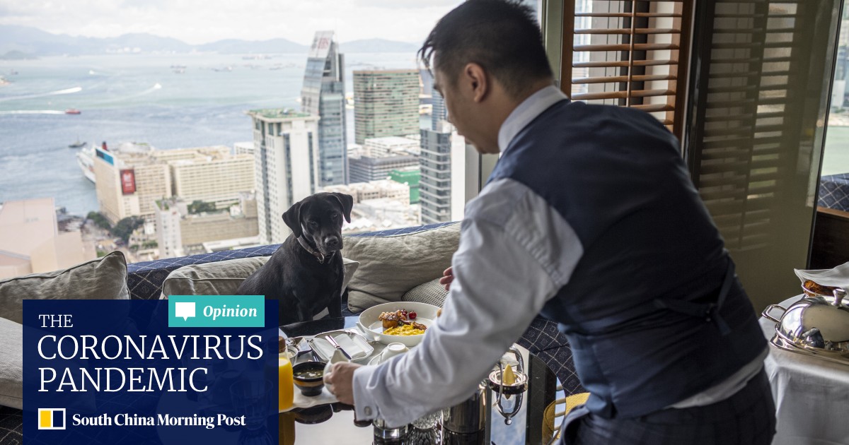 The Luxury Pet Friendly Hotels Taking Pet Pampering To New Heights